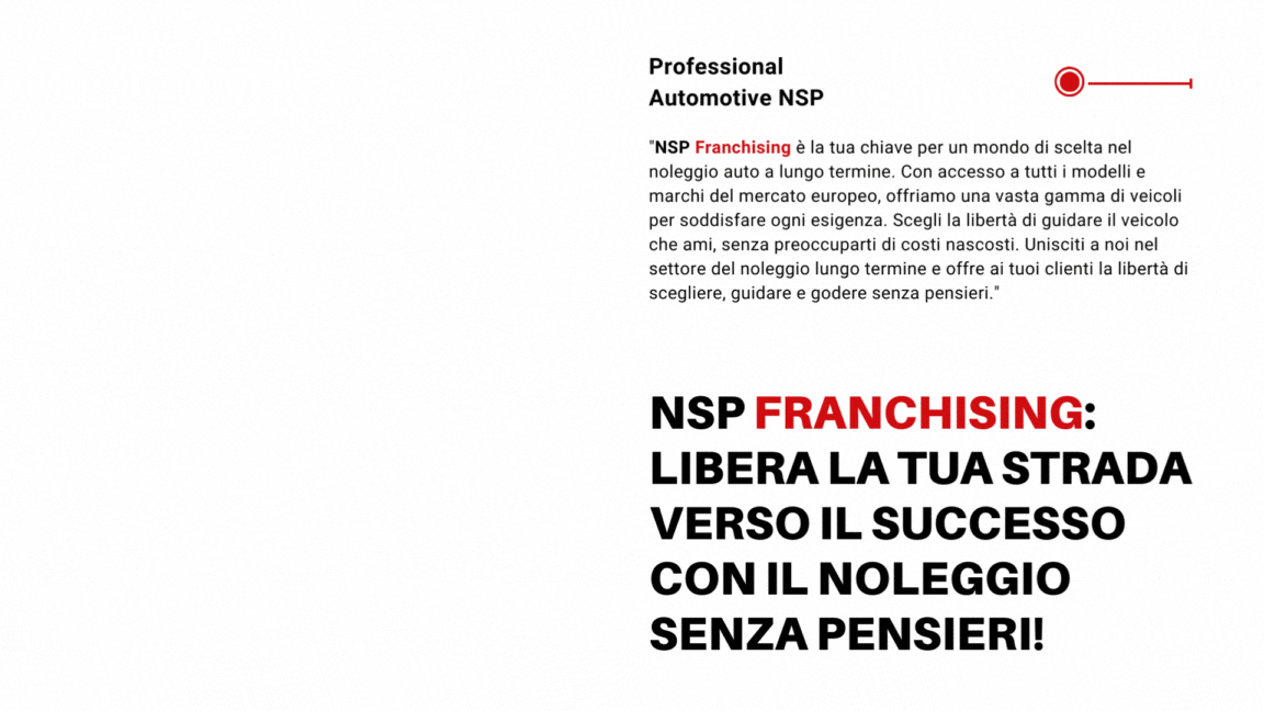FRANCHISING NSP